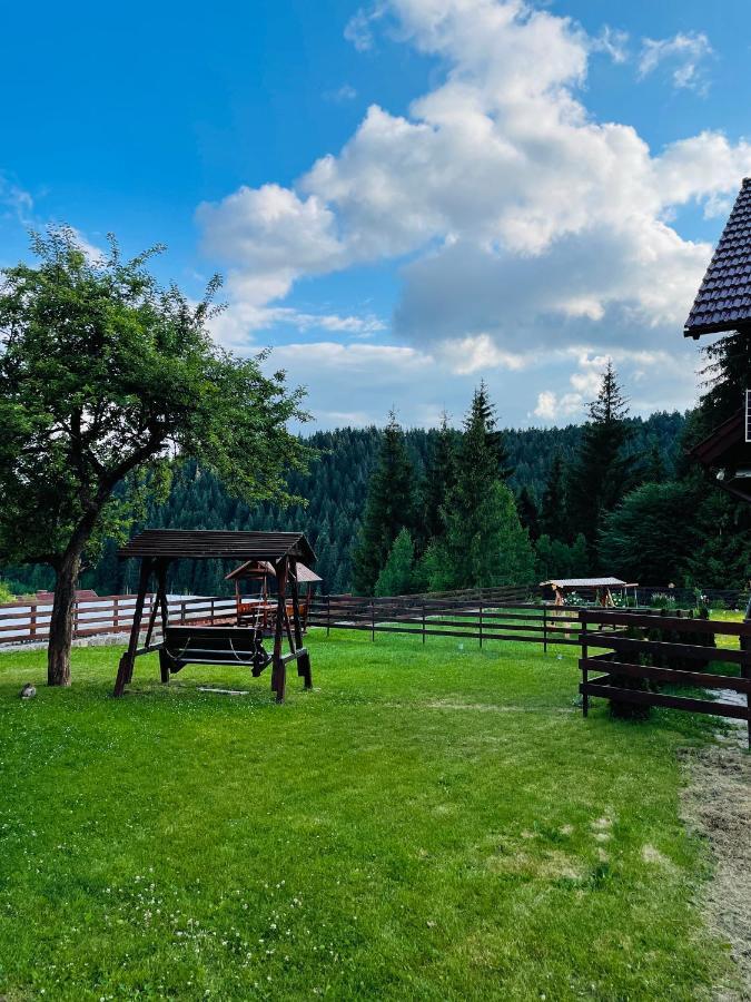 Villa Montana Borsec Εξωτερικό φωτογραφία